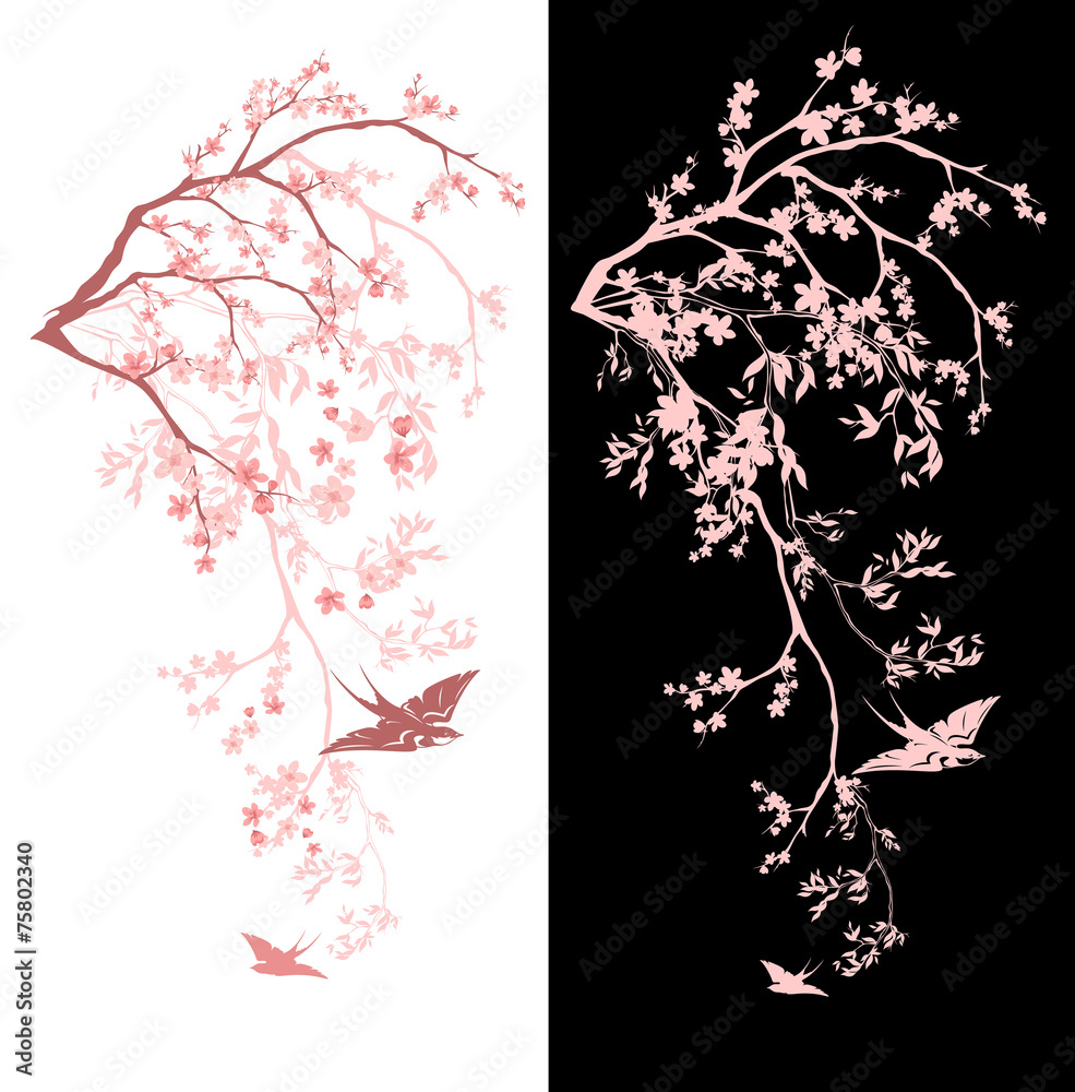 Obraz premium spring blossom decor