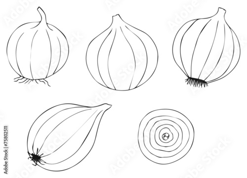 Delightful garden - onion