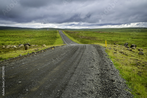 Icelandic Road