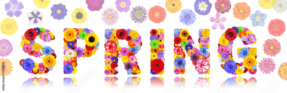 Word Spring Made of Colorful Flowers Isolated
