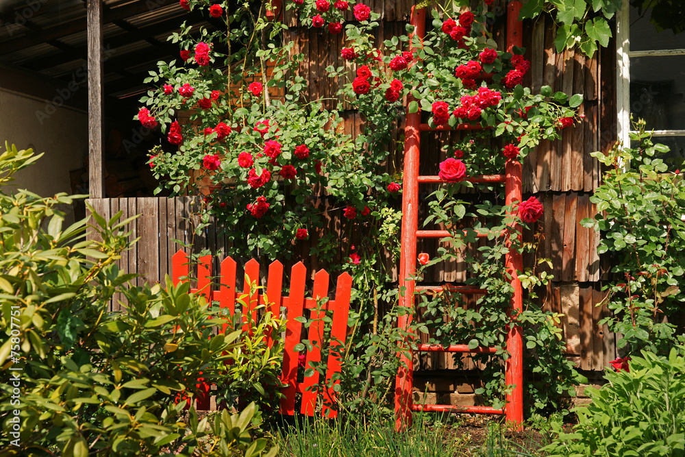 Fototapeta premium Bauerngarten
