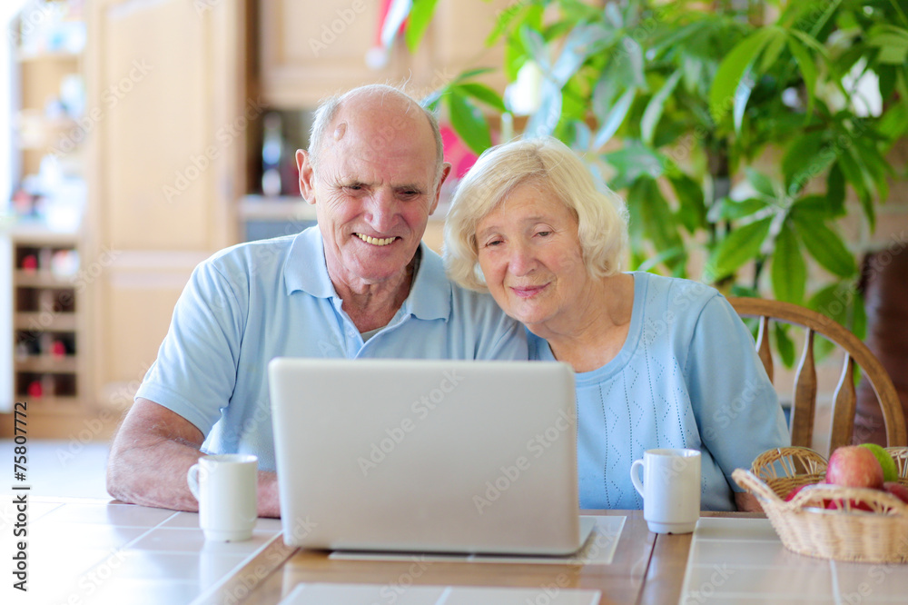 Senior couple using laptop at home