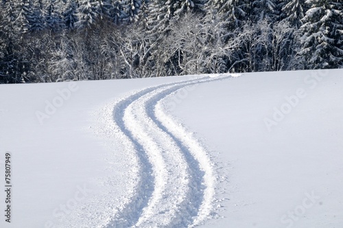 Spur im Schnee