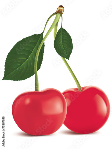 Cherry with green leaf isolated. Vector illustration
