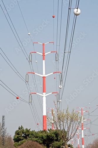 ligne haute tension et végétation