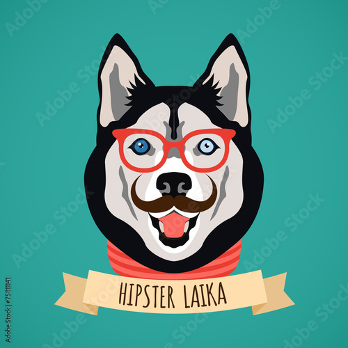Hipster dog portrait