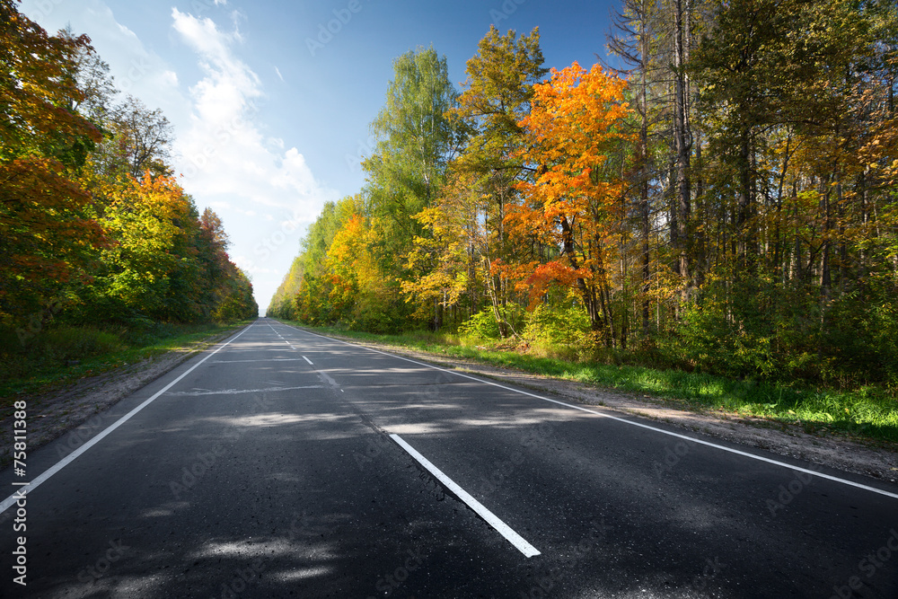Autumn road Autumn road