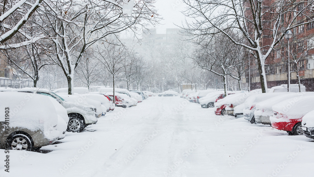 Obraz premium Cars covered in snow on a parking lot in the residential area 