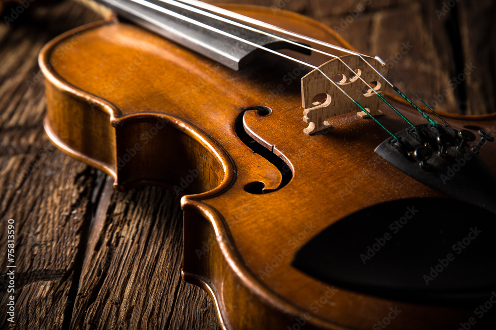 Fototapeta violin in vintage style