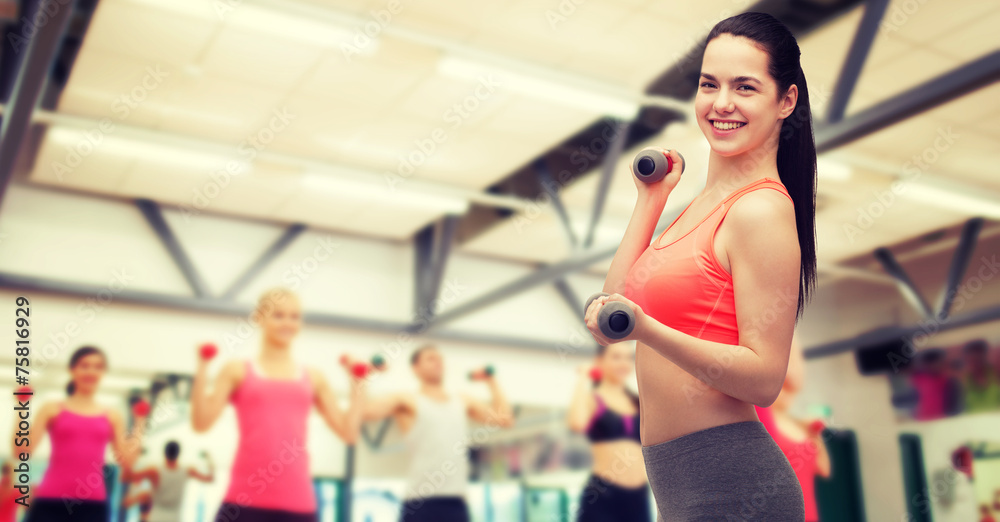 young sporty woman with light dumbbells young sporty woman with light dumbbells