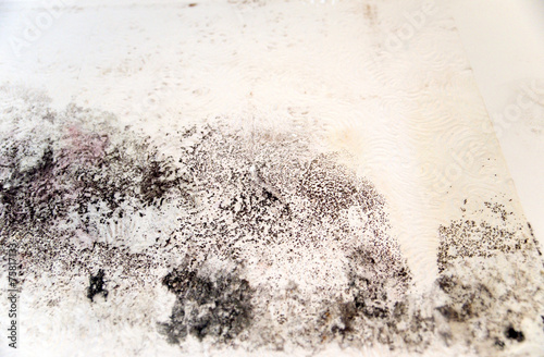 Schimmel an der Wand photo
