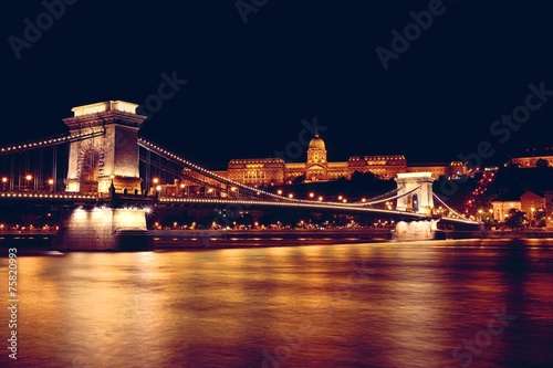 Chain Bridge & Danube photo