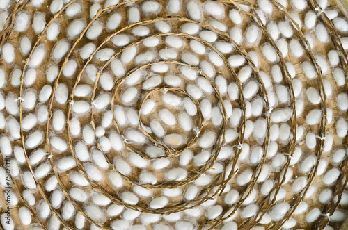 silk worm cocoons in white nests