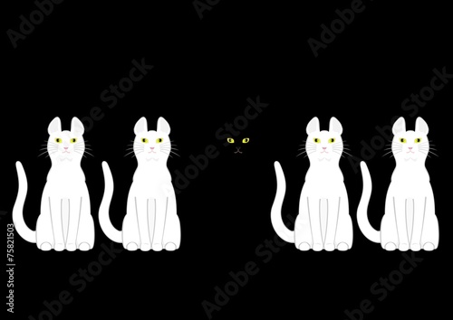 白猫の中の黒猫