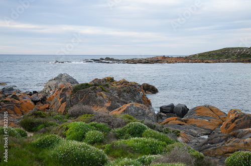 A rocky beach line landscape photo