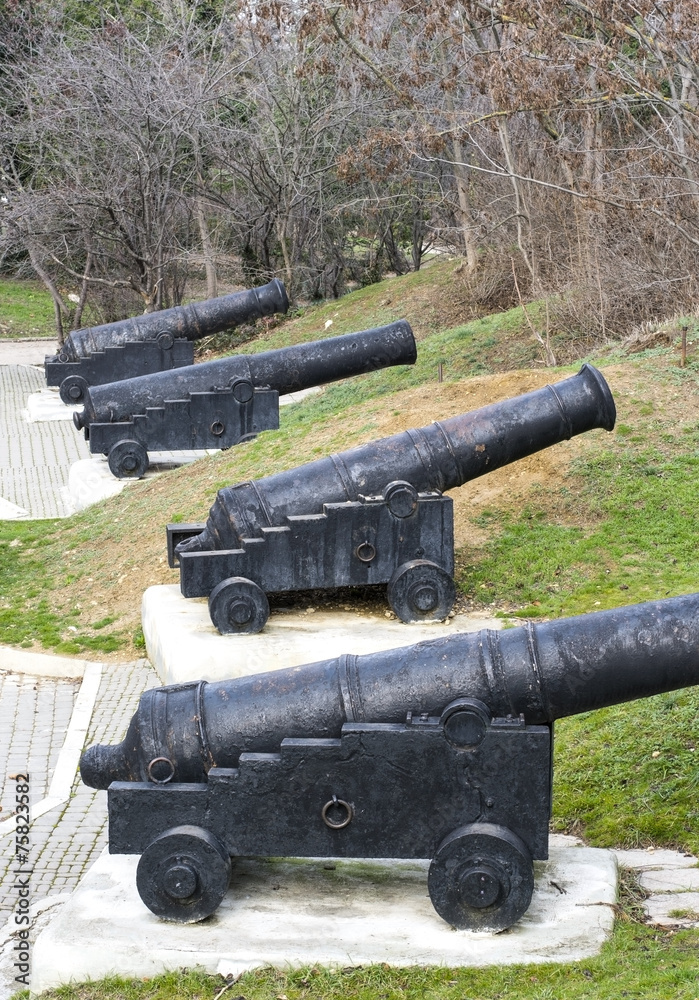 Old ship gun on a coastal position