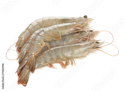 Raw shrimp