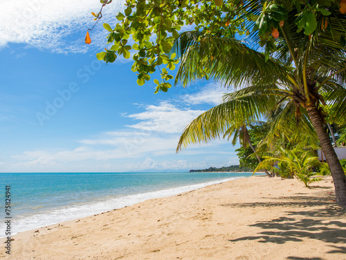 Tropical beach of Koh Samui island