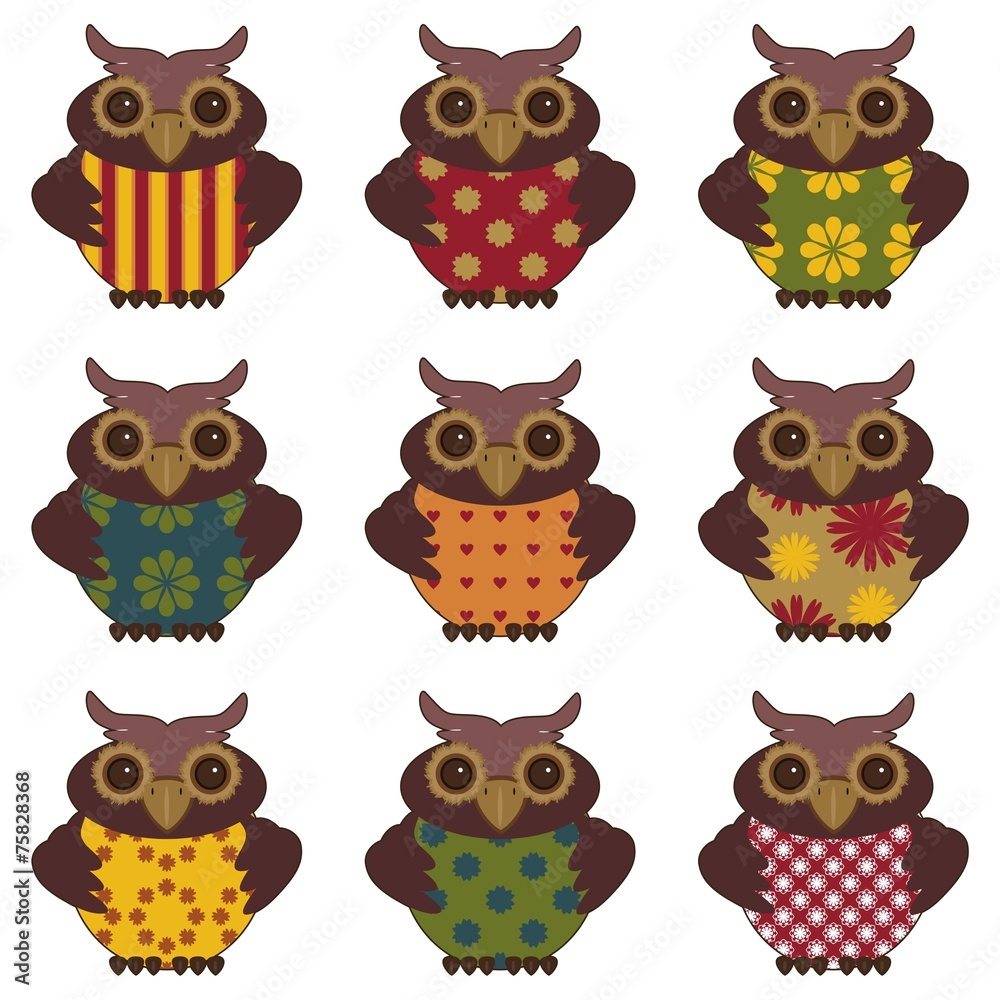 nice owls on white background