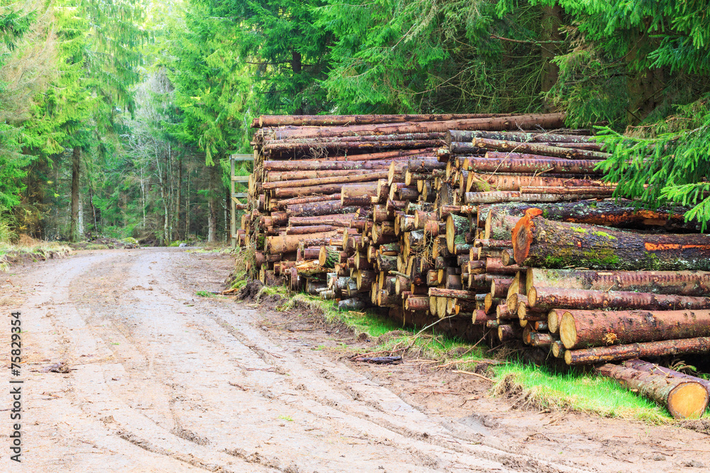 Timber stack by the country road