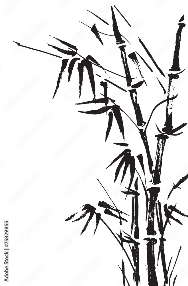 Naklejka premium Bamboo branches isolated on the white background. Vector