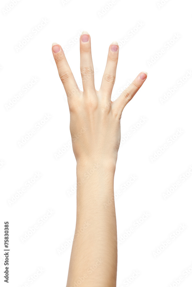 four fingers hand gesture isolated on white background four fingers hand gesture isolated on white background