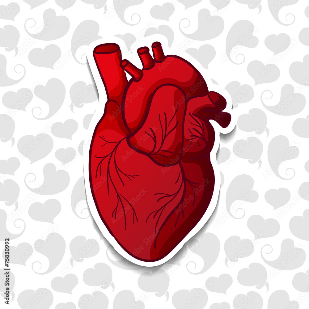 Drawing the human heart on background pattern of cartoon hearts Stock  Vector | Adobe Stock