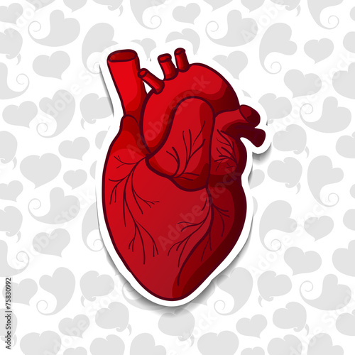Drawing the human heart on background pattern of cartoon hearts