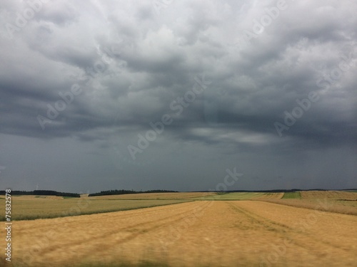 Dunkle Gewitterwolken   ber Weizenfeld - Dramatische Stimmung