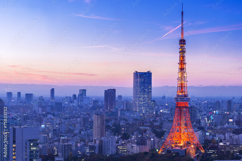 Fototapeta premium wieża Tokyo