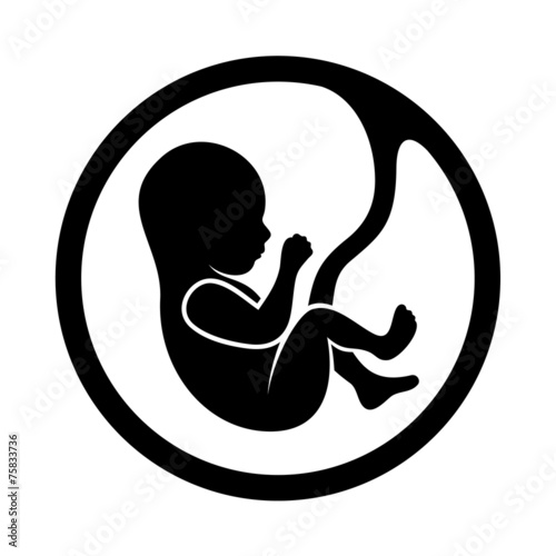 Fetus Icon Isolated on White Background