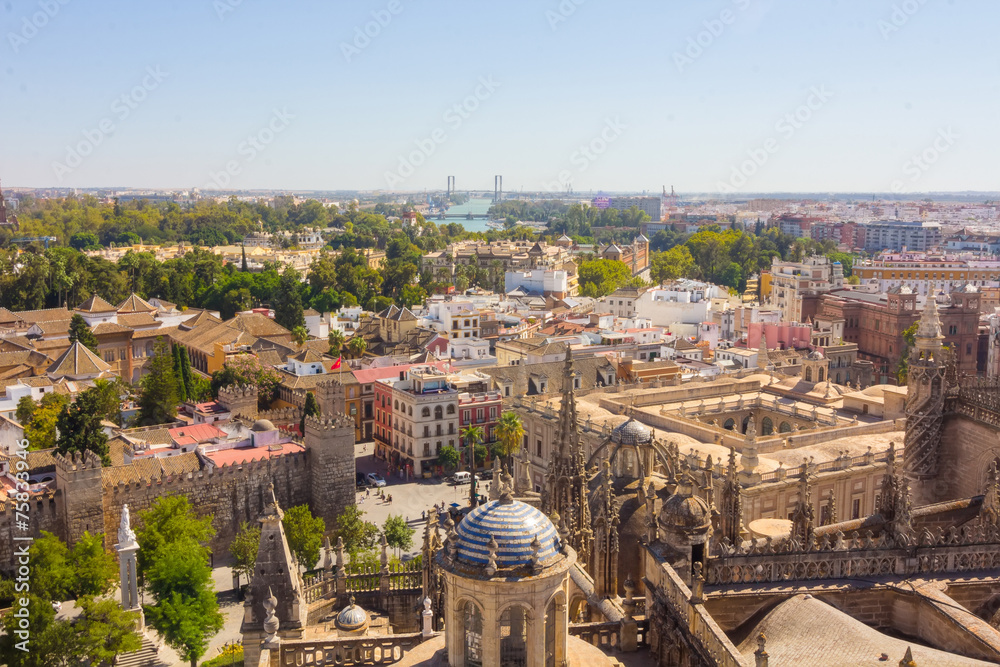 Cathedral of Santa Maria de Sevilla view from the Giralda in Sev