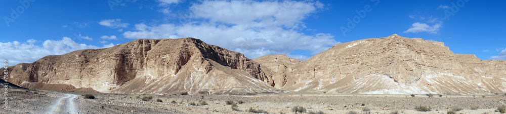 Negev desert