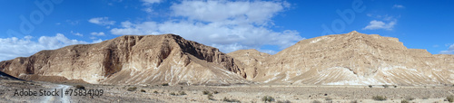 Negev desert