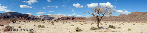 Timna park