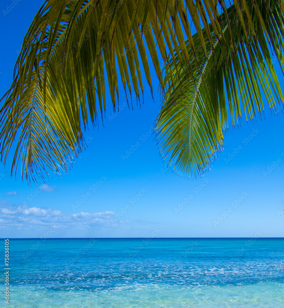 Fototapeta premium beach