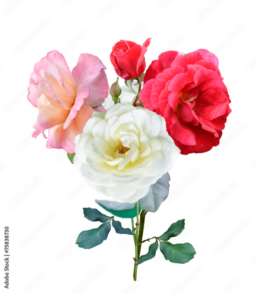 Fototapeta premium Rose Flowers