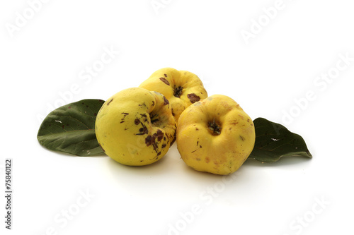 Coings