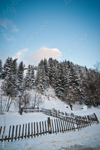 Winter landscape with snowed trees, road and wooden fence. Hill 