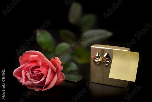 rosa con regalo e biglietto vuoto © stefania57