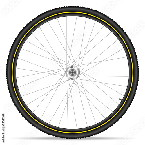 mountain bike wheel
