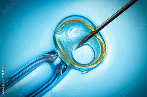 In vitro fertilisation, IVF macro concept photo