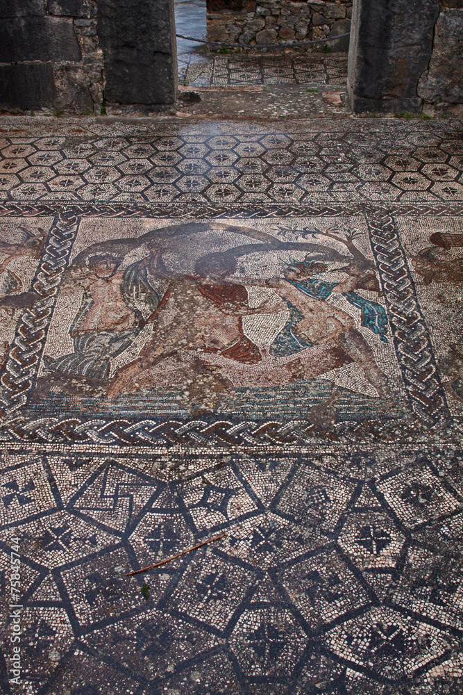 Volubilis, römisches Mosaik