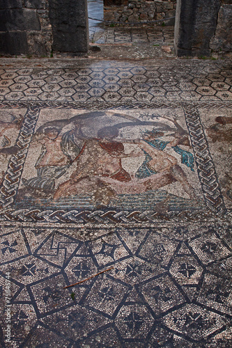 Volubilis, römisches Mosaik