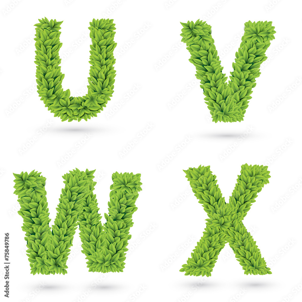 Fototapeta premium Letters of green leaves collection.