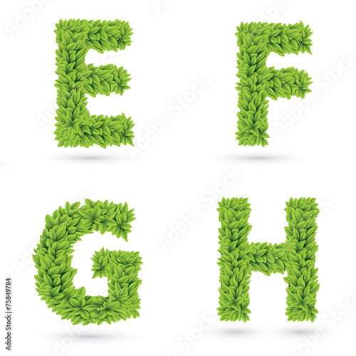 Letters of green leaves collection.