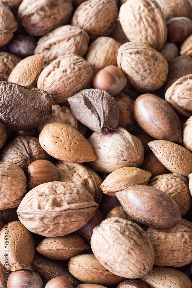 A Mixture of Walnuts, Hazelnuts, Brazil Nuts, Almonds and Pecans A Mixture of Walnuts, Hazelnuts, Brazil Nuts, Almonds and Pecans