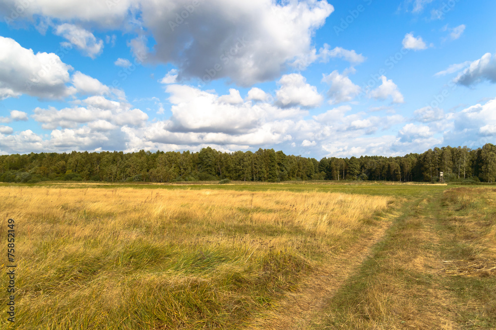 Obraz premium clouds