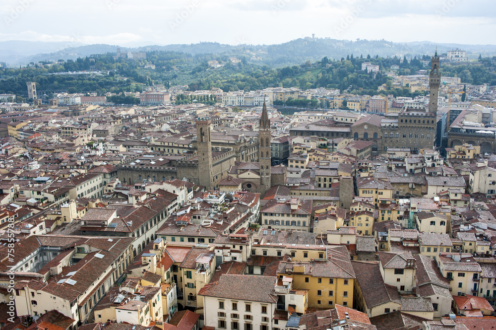 Firenze vista dall'alto Firenze vista dall'alto