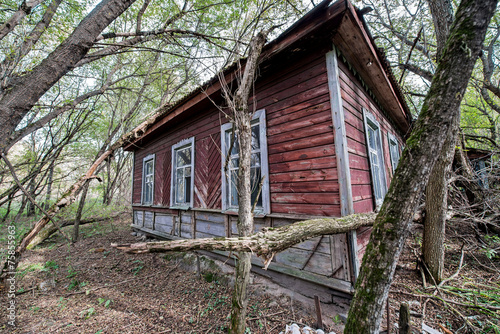 Wooden cottage in abandoned Stechanka village, Chernobyl Zone